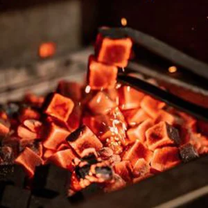 تنوع زیاد در دودکام